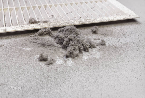 Best HVAC Maintenance and Cleaning  in Camano, WA