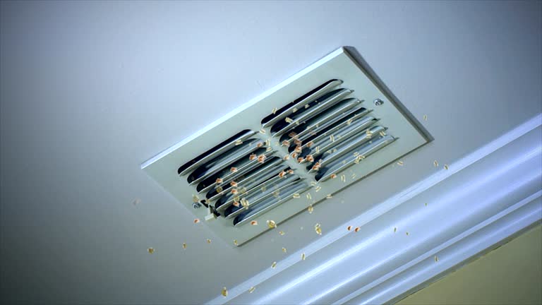 Best Home Air Vent Cleaning  in Camano, WA